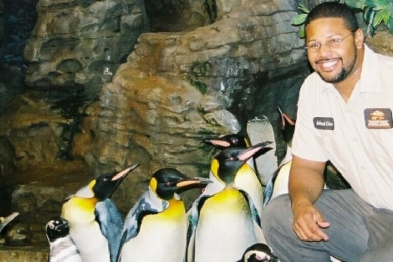 Do Penguins Have Teeth? Seven Not-So-Secret Facts About Penguins - Bird